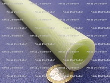 g10 tubes .250