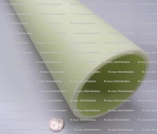 G10 Tubes