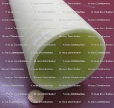 g10 tubes .250
